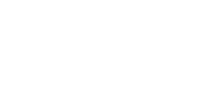 Safari